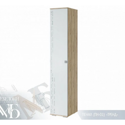 Пенал ''Тренд'' ПН-01